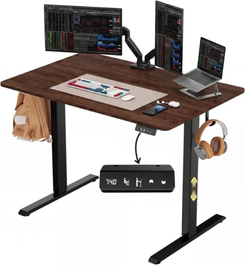 BEAUTY Electric Standing Desk 48 x 24, Height Adjustable 28-46