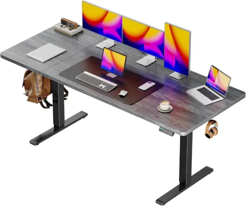 55 x 28 Large Electric Standing Desk, Height Adjustable Computer Desk, 27.6 Deep Desktop