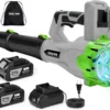 Blower Cordless 650CFM with 2x4.0Ah Battery Powered and Fast Charger